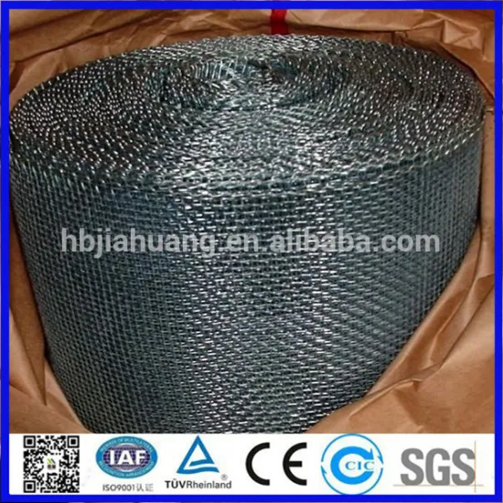 Galvanized square mesh wire netting for wholesale factory price