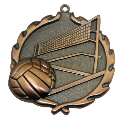 national medal volley medal for sports