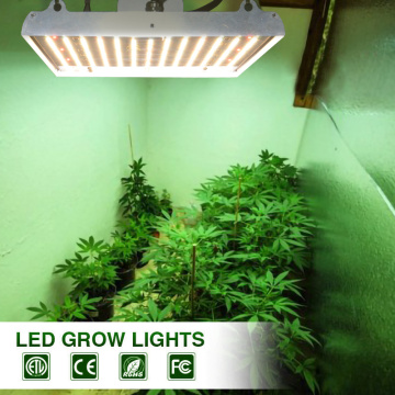 Quantum Borad LED Grow Light 120W