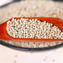 Perilla Seed Good Quality