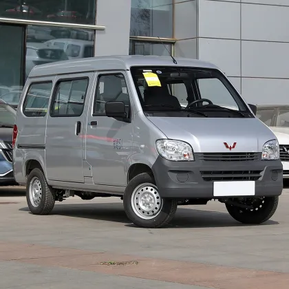 Wulingzhiguang classic wealth-making car