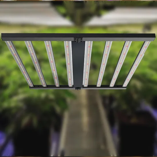 Best Cheap Led Seed Starting 720W Grow Lights