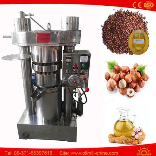 Moringa Tea Camellia Pumpkin Olive Oil Press Machine for Sale