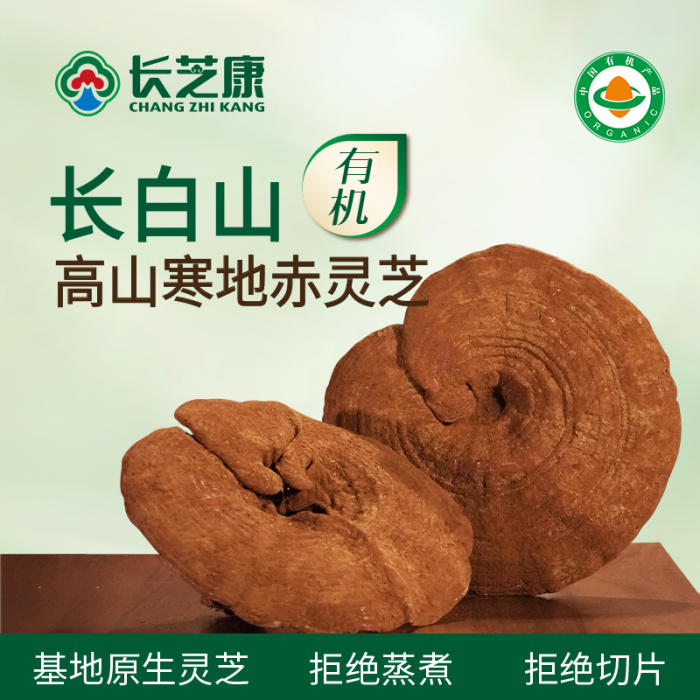 Црвена ганодерма од студени региони на висока надморска височина