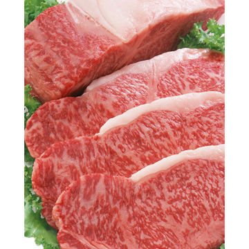 Frozen Beef Import and Export Agency Services for International Transportation Customs Declaration