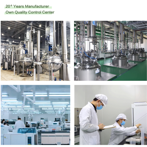 Премиум морел прах екстракта гљива