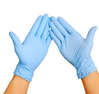 Disposable Safety Adult Nitrile Glove Powder Free Gloves
