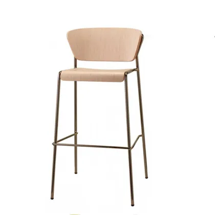 Dining Chair Furniture Modern Luxury Kitchen Bar Stool