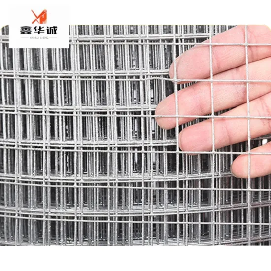 Factory Direct Low Price 2.5 Gauge Welded Wire Mesh, 15m Length per Roll: Ideal for Stone Reinforcement