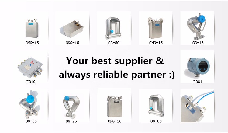 Medidor de fluxo de massa coriolis com garantia de 2 anos