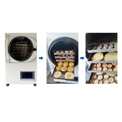 Home Food Freeze Dryer