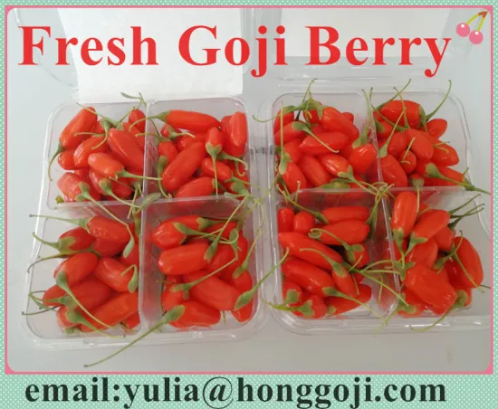 Fresh Goji Berry packed in case