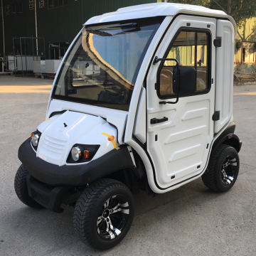 Electric Golf Buggy 4-Wheel LSV 2-Seater Mini Copper Buggy