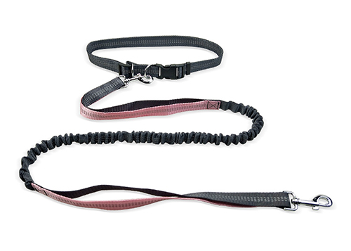 Hand Free Reflective Elastic Belt BELT Running Dog Leashes