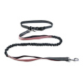 Tangan Percuma Reflektif Elastik Belt Belt Running Dog Leashes