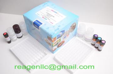 Zearalenone Toxin ELISA Test Kit