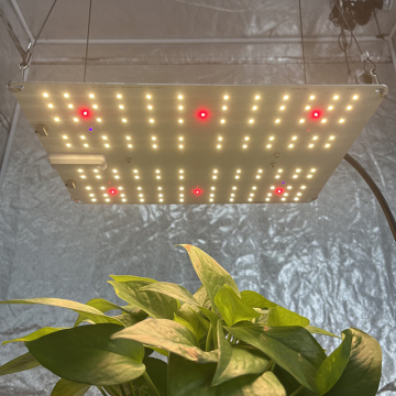 Dimmable 65W Mini Board KingBrite UV/IR LED Grow Light with LM301H EVO and LM281B Pro Mix OSR 660nm