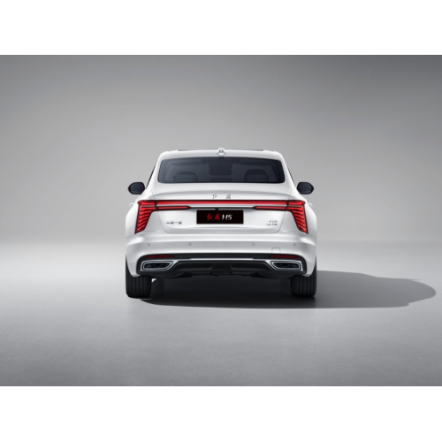 Hongqi H5 Comfortable and Stylish Ride