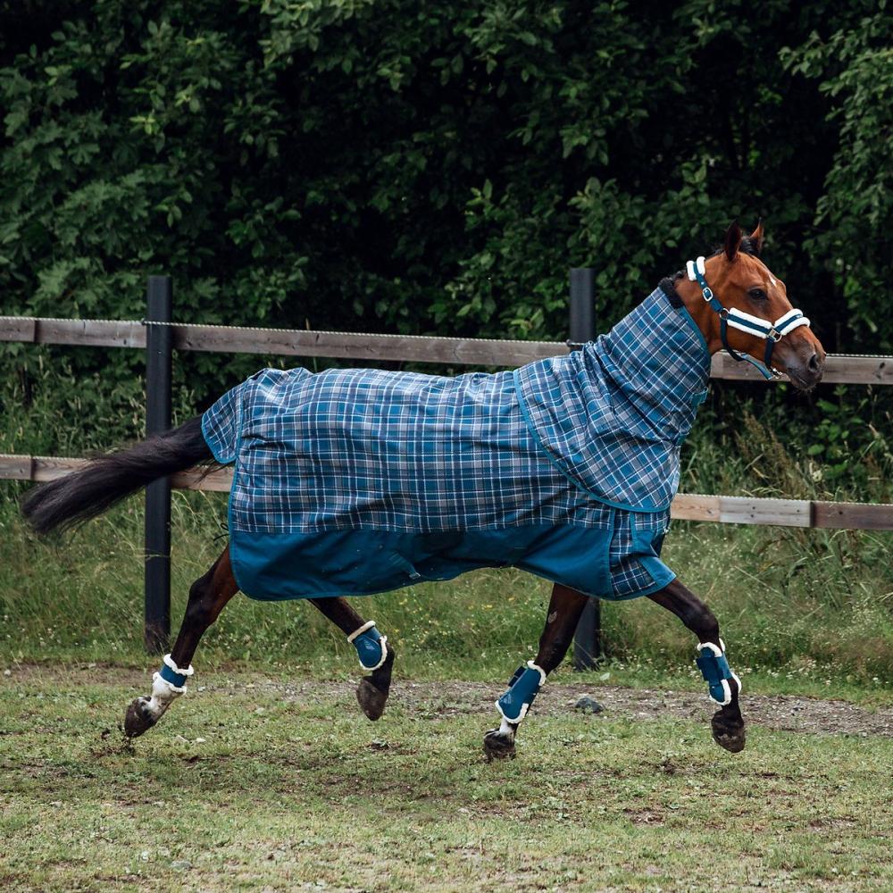 Medium Weight Turnout Horse Blanket