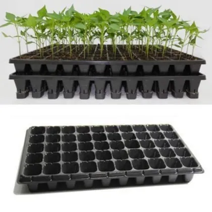 Greenhouse Seed Planting Trays: 72/128/200 Cell Nursery Plastics for Plant Growing Pots
