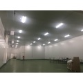 Tubo de luz led 20w 2 pés