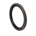 Piston Seal PG Wear Resistant High Temperature Resistant