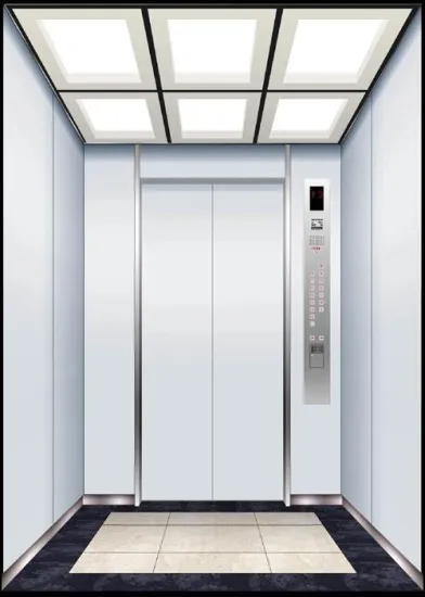 Smooth And Quite Home Passenger Elevator