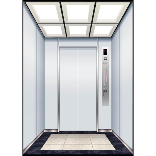 Smooth And Quite Home Passenger Elevator