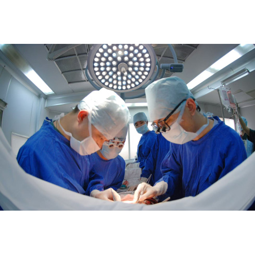 Single and Double Head LED Operation Lamp for Animal Medical Use