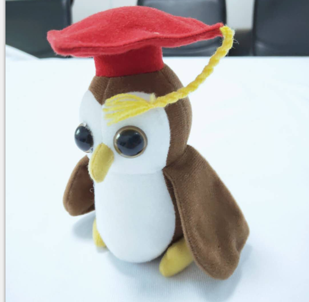 Doctor Plush Bird Toys