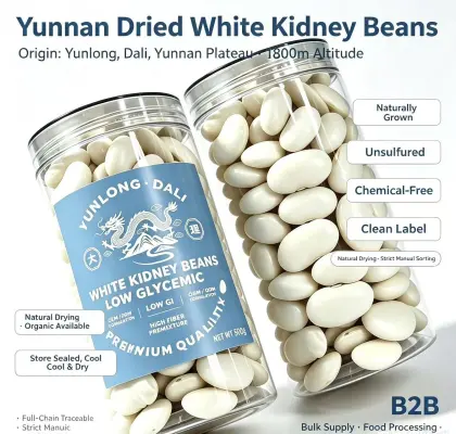 Organic Bulk Dried White Kidney Beans