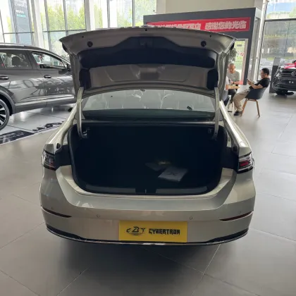 The King Of Family Sedan Space Sagitar