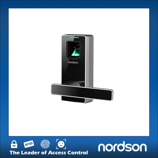 New faublous household fingerprint lock indoor lock electronic door lock for USA