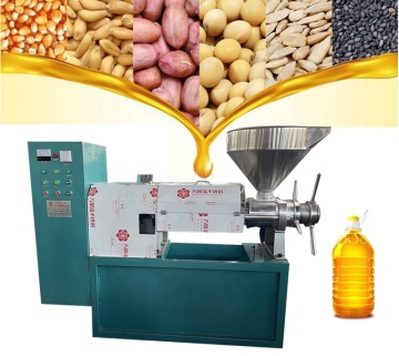 Stainless Steel Home Use Oil Press Machine for Olive Oil and Grains