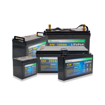 LifePo4 -batteri med hög kapacitet med BMS: 12V, 24V, 48V Alternativ i 100AH, 120AH, 150AH, 200AH, 300AH