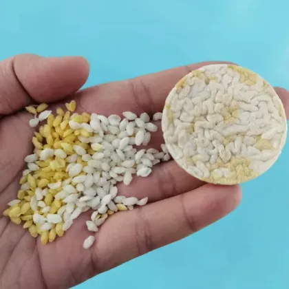 Japanese Rice Cracker Manufacturing Equipment