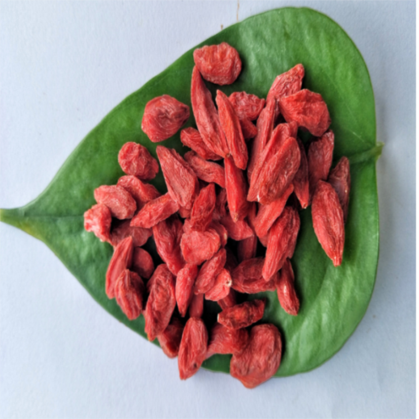 Düşük Fiyat Üst sınıf Ningxia goji berry / wolfberry