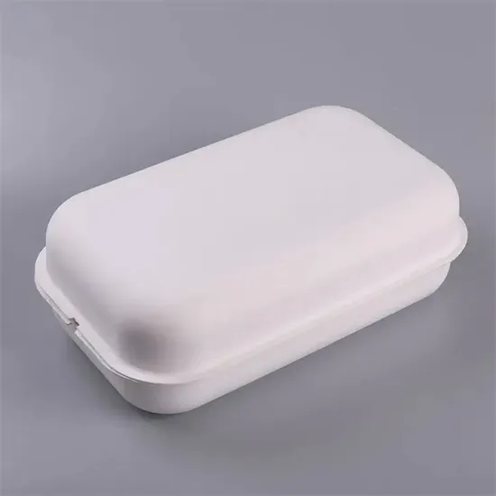 Pulp Molded Bagasse Paper Nuts Kernels Packaging Box