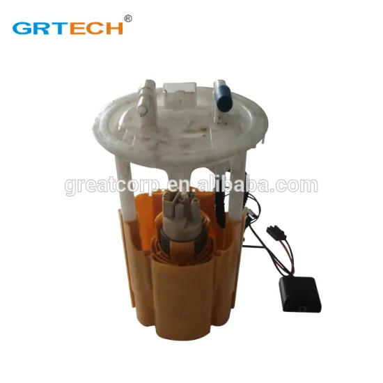 9638028680 fuel pump assembly for peugeot 206