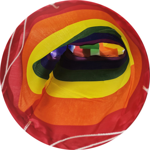 Anpassad utskrift Windsock Rainbow