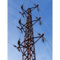 ট্রান্সমিশন অ্যাঙ্গেল স্টিল টাওয়ার 500KV