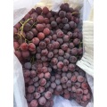 Fresh Good Qulality Red Grape