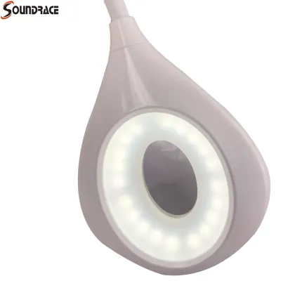 Table Lamp With Fan