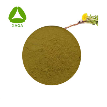 Natural Dandelion Root Extract Cichoric Acid 0.1% Powder