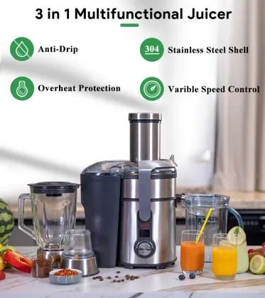 High-Power 1300W Professional Custom Large Diameter Electric Juicer with Copper Motor