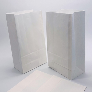 Customizable Biodegradable Kraft Paper Carry Bags