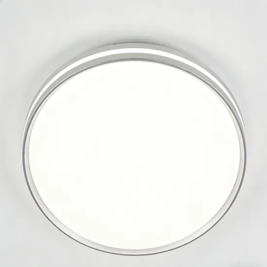 Indoor decorative LED ceiling light