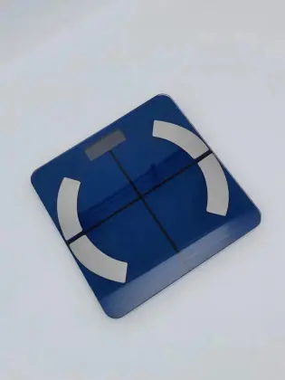 Electronic Health Household Body Fat Scale