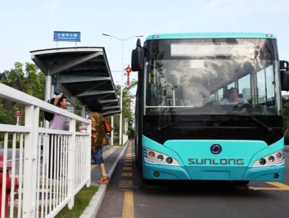 Microcirculation Autonomous Electric City Buses