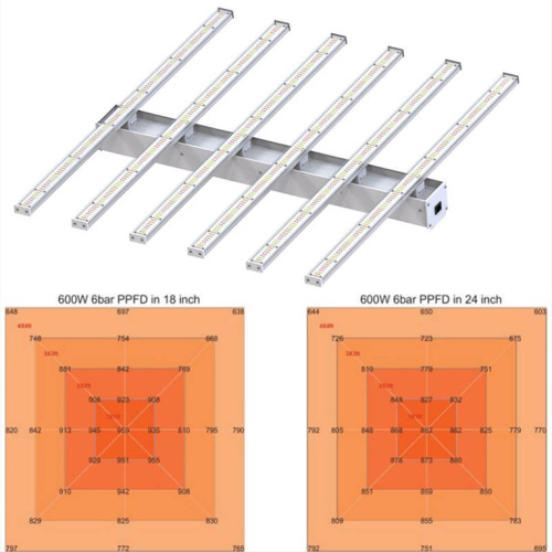 600W Led Grow Light 6Bar 281B Lm301B